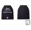 PTS SAP! Dummy Plate (Front and Back) L Black