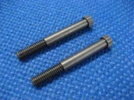 PTW Carrying handle mount screw ( set of 2 )