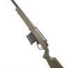 Ares Amoeba Striker Bolt Action Sniper Rifle (Olive Drab)