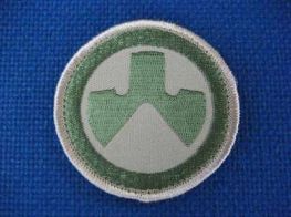 Magpul Logo Patches Light Green